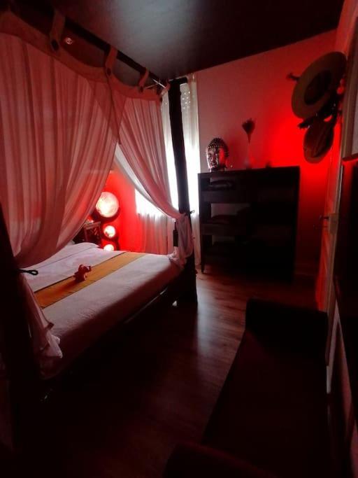 Suite Island 科尔马 外观 照片